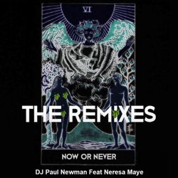 Now or Never (Remixes)