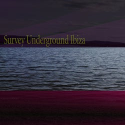 Survey Underground Ibiza