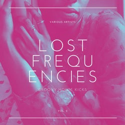 Lost Frequencies (Groovy House Kicks), Vol. 2