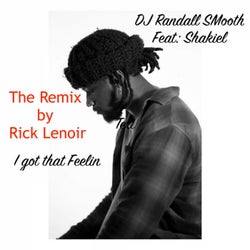 I Got That Feelin-Remix