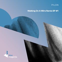 Walking On A Wire (Remix EP 1)