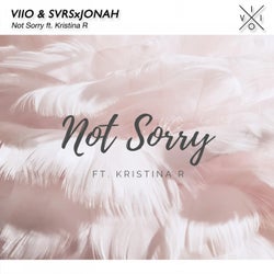 Not Sorry (feat. Kristina R)