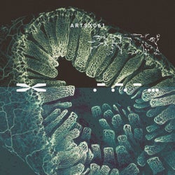 Bare Roots EP