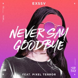 Never Say Goodbye (feat. Pixel Terror)