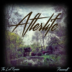 Afterlife (The Lost Remixes)