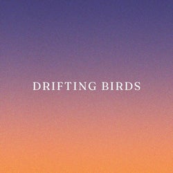 Drifting Birds