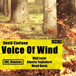 Voice of Wind Inc. Remixes