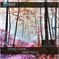 Foggy Trip