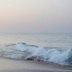 An Ocean