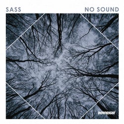 No Sound (Extended Mix)