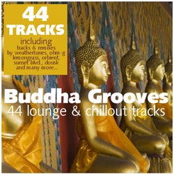 Buddha Grooves - 44 Lounge & Chillout Tracks