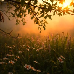 Awaking Chimes