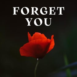 Forget You