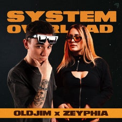 System Overload (Extended Mix)
