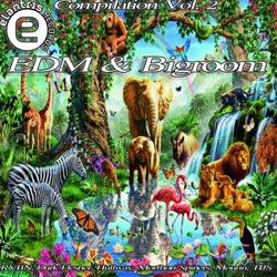 EDM & Bigroom Compilation Vol. 2