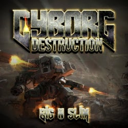 Cyborg Distruction