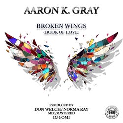 Broken Wings (Book Of Love) (DJ Gomi Mix)