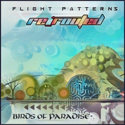 Flight Patterns (Re-Routed)
