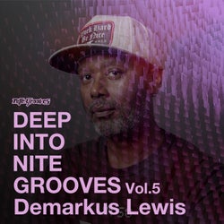 Deep Into Nite Grooves, Vol. 5