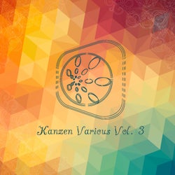 Kanzen Various Volume 3