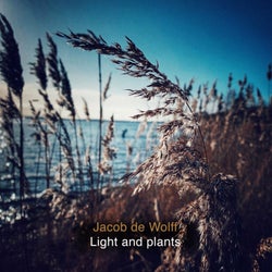 Light And Plants