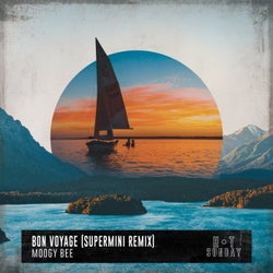 Bon Voyage (Supermini Remix)
