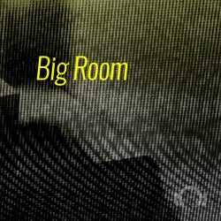 ADE Special: Big Room