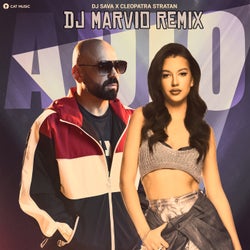 Adio (DJ Marvio Remix Extended)