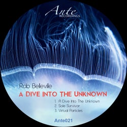A Dive Into the Unknown
