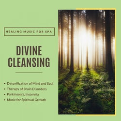 Divine Cleansing (Healing Music For Spa, Detoxification Of Mind And Soul, Therapy Of Brain Disorders, Parkinson's, Insomnia, Music For Spiritual Growth)