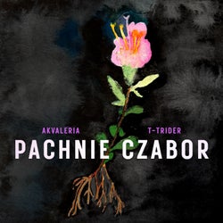 Pachnie Czabor