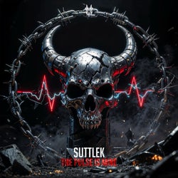 The Pulse is Mine (Extended Mix)