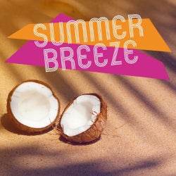 Summer Breeze 2018