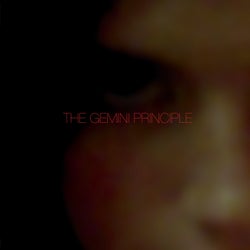 The Gemini Principle, Pt.1