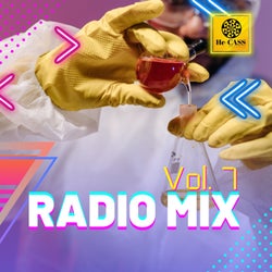 Radio Mix, Vol. 7