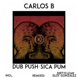 Dub Push / Sica Pum