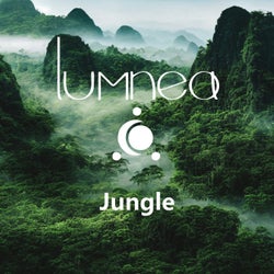 Jungle