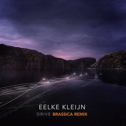 Drive - Brassica Remix