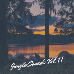 Jungle Sounds Vol. 11