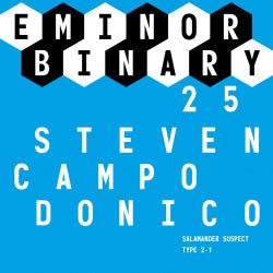 EMINOR Binary 25
