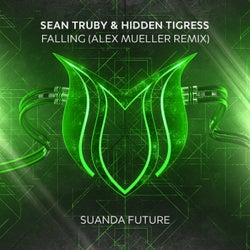 Falling (Alex Mueller Remix)