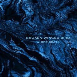 Broken Winged Bird