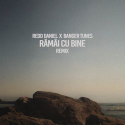 Rămâi cu bine (Remix)