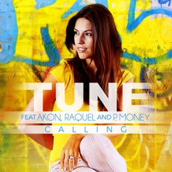Calling (feat. Akon)
