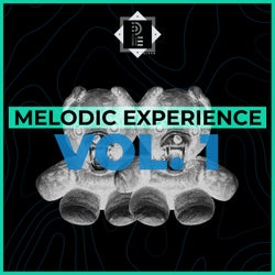 Melodic Experience (Re-Master 2021)