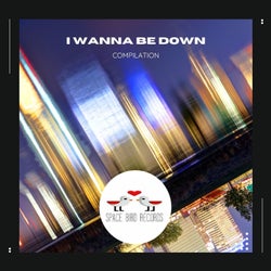 I Wanna Be Down
