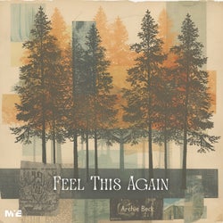 Feel This Again