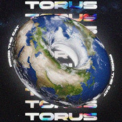 Torus