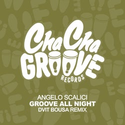 Groove All Night (Dvit Bousa Remix)