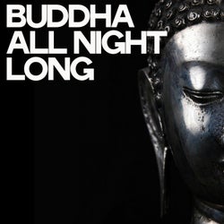 Buddha All Night Long